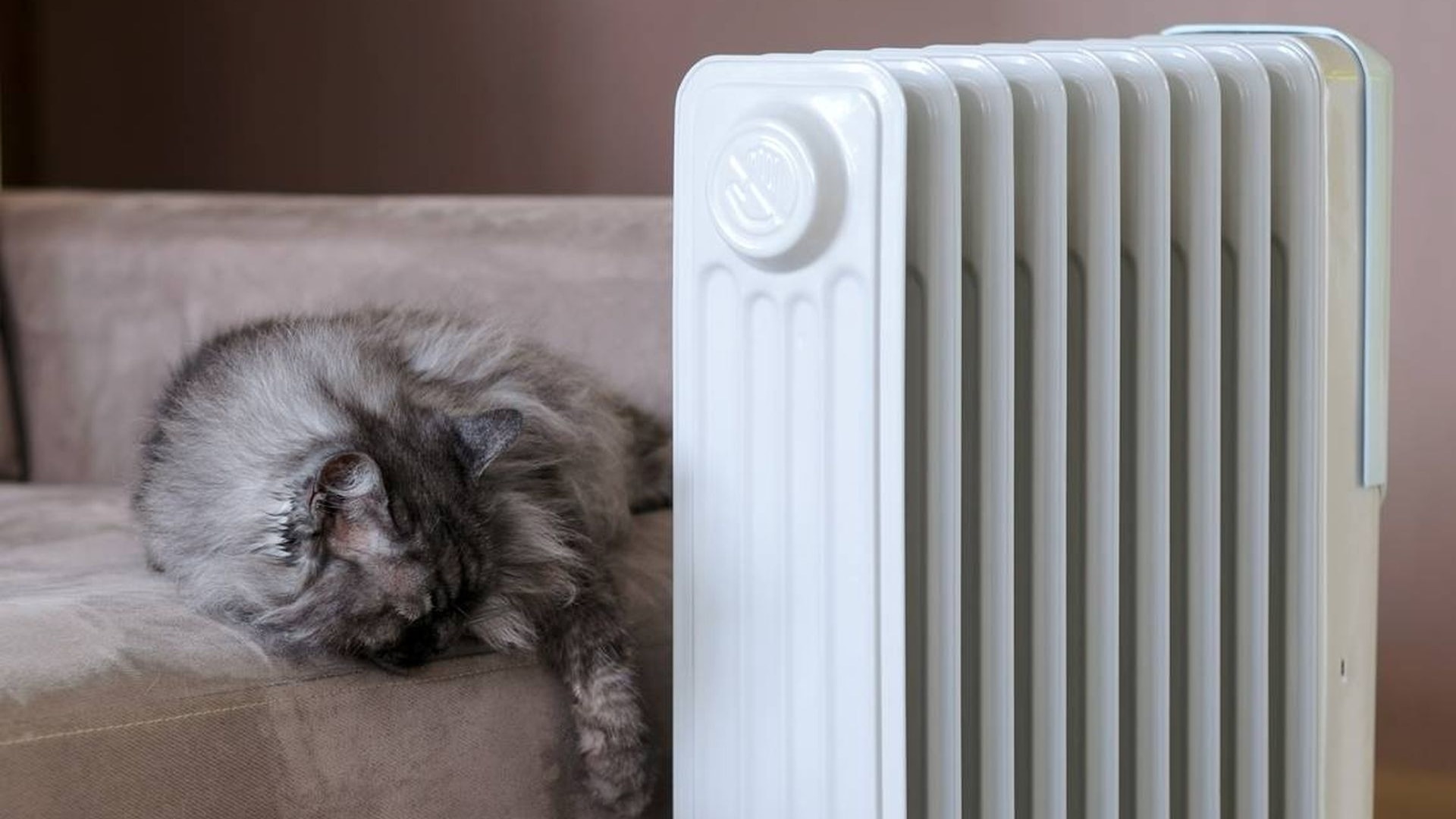 обогреватель электрический безопасный. оставили обогреватель на ночь. обогреватель для дачи экономичный и безопасный. можно ли включать масляный обогреватель на ночь. можно ли оставлять обогреватель на ночь включенным.